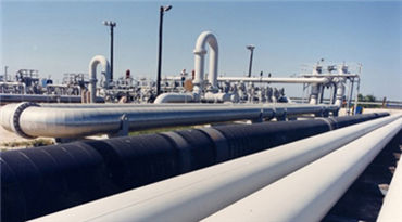 market of haihao group